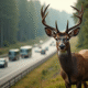 Cerf sauvage près d'une forêt dense avec autoroute en arrière-plan