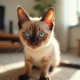 Chat siamois aux yeux bleus dans un salon ensoleille